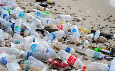 The plastic pandemic: The urgent need for sustainability and a circular economy